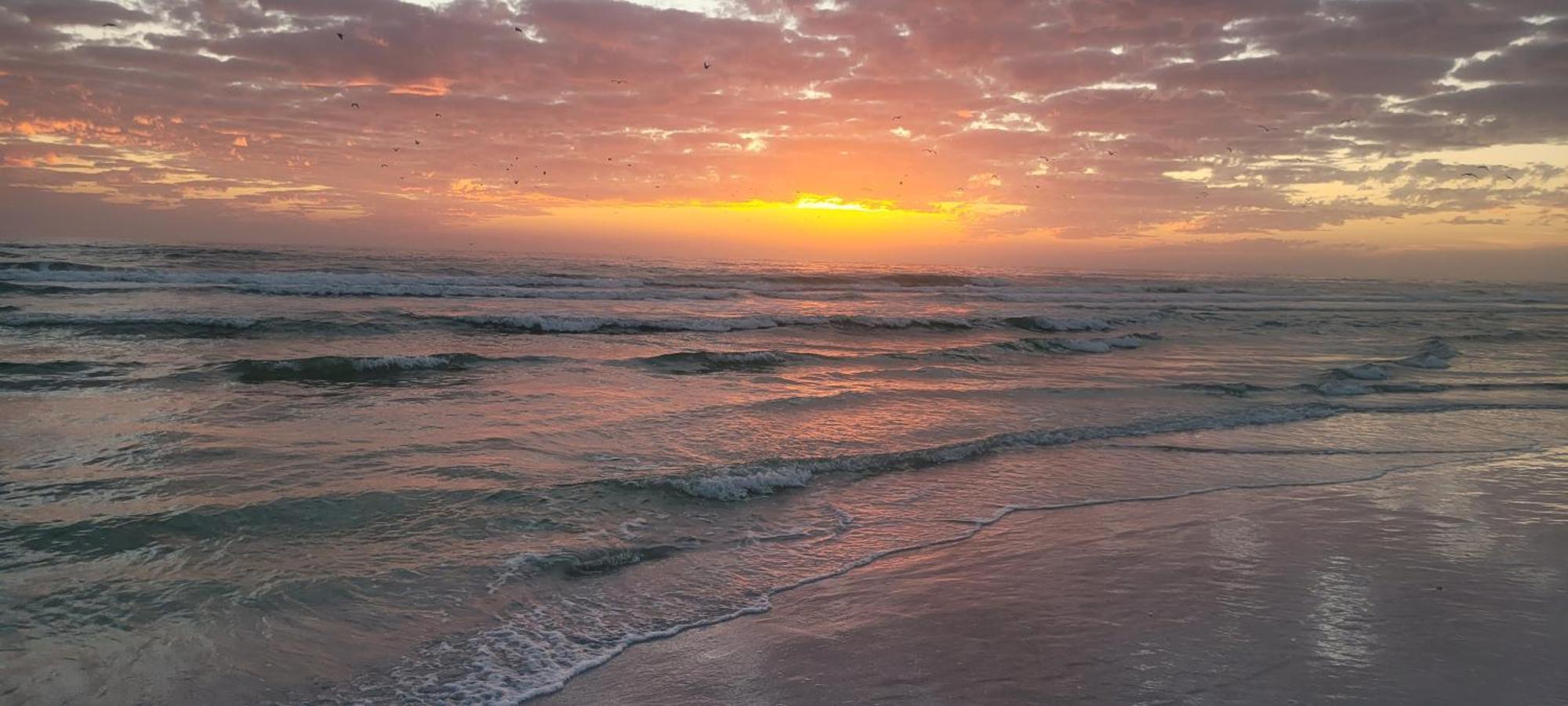 Siesta Key Condo - On The Water ! المظهر الخارجي الصورة