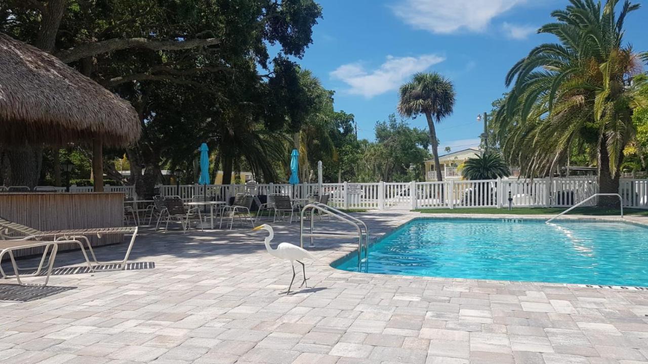 Siesta Key Condo - On The Water ! المظهر الخارجي الصورة